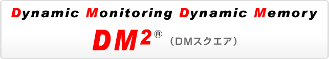 Dynamic Monitering Dynamic Memori