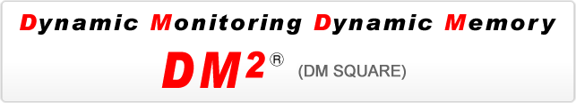 Dynamic Monitering Dynamic Memori